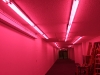 Pink tunnels